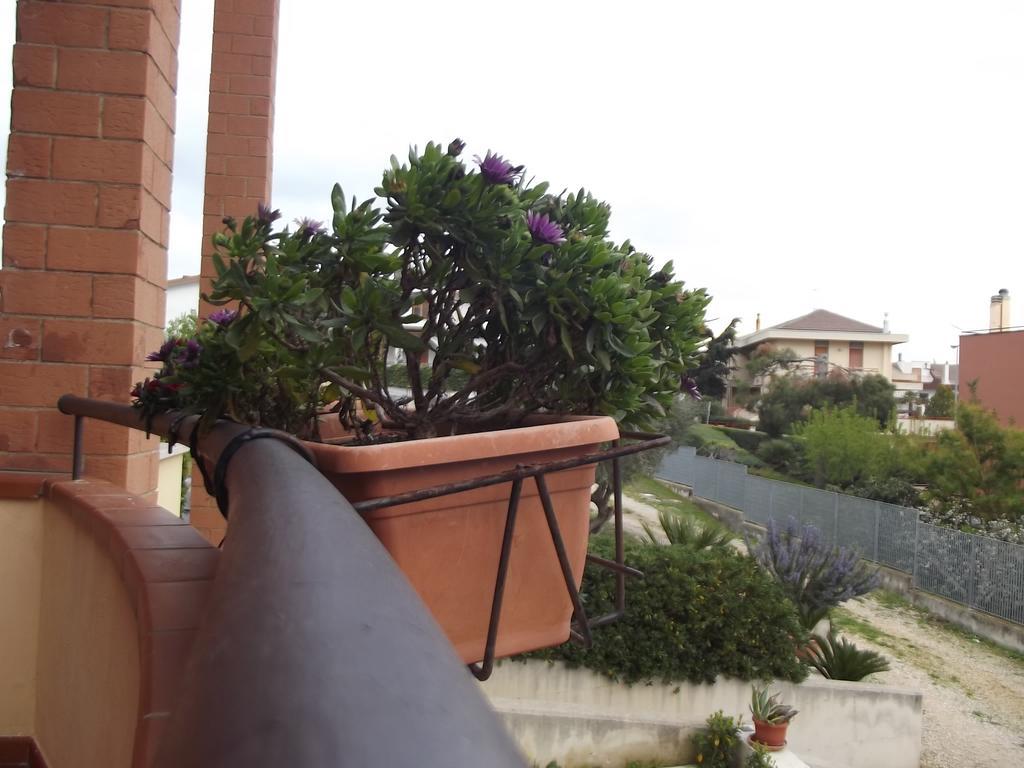 La Specchia Bed & Breakfast Matera Luaran gambar
